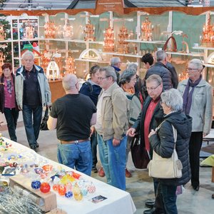 SaaleMesse 2017, Messeimpression