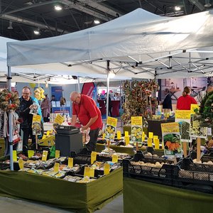 SaaleMesse 2019, Messeimpression
