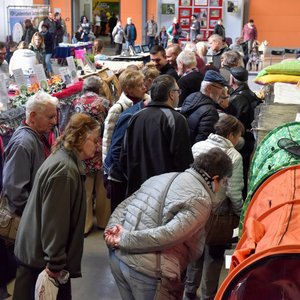 SaaleMesse 2018, Messeimpression