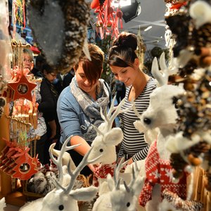 SaaleMesse 2015, Messeimpression