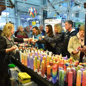 SaaleMesse 2015, Messeimpression