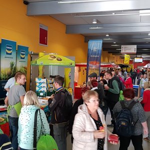 SaaleMesse 2019, Messeimpression