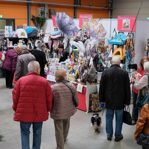 SaaleMesse 2016, Messeimpression