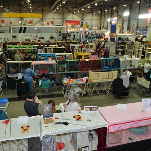 SaaleMesse 2015, Messeimpression