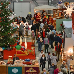 SaaleMesse 2015, Messeimpression