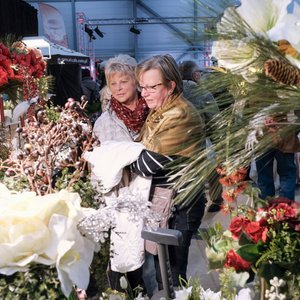 SaaleMesse 2017, Messeimpression