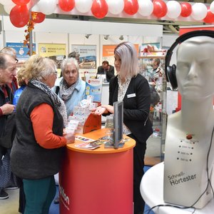 SaaleMesse 2016, Messeimpression