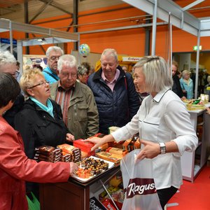 SaaleMesse 2015, Messeimpression