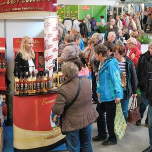 SaaleMesse 2017, Messeimpression