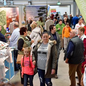 SaaleMesse 2018