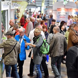 SaaleMesse 2018, Messeimpression