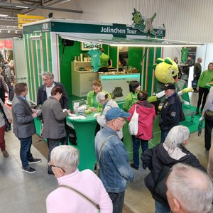 SaaleMesse 2017, Messeimpression